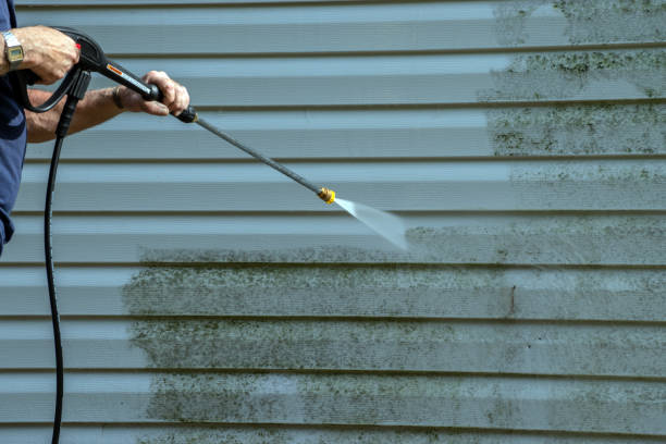 Best Gutter Cleaning  in Marissa, IL